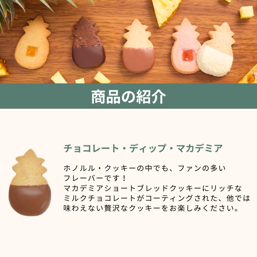公式】パイナップル・シェイプ・ボックス (L)（12種20枚入