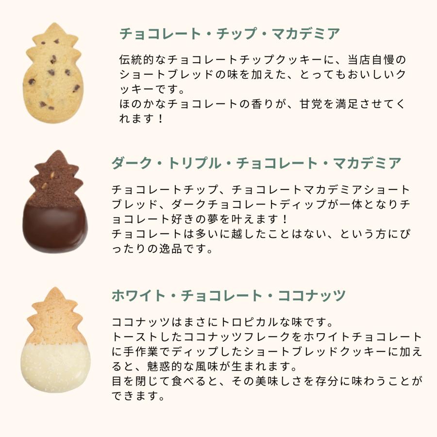 公式】パイナップル・シェイプ・ボックス (L)（12種20枚入
