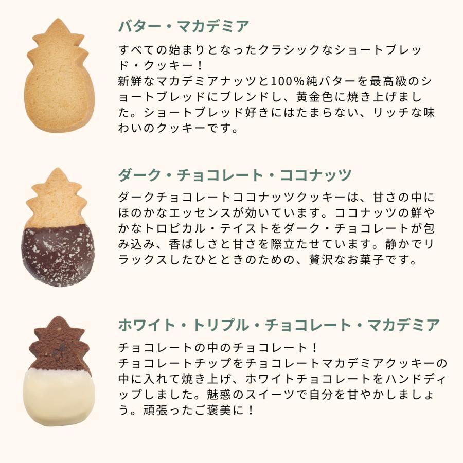 公式】パイナップル・シェイプ・ボックス (L)（12種20枚入