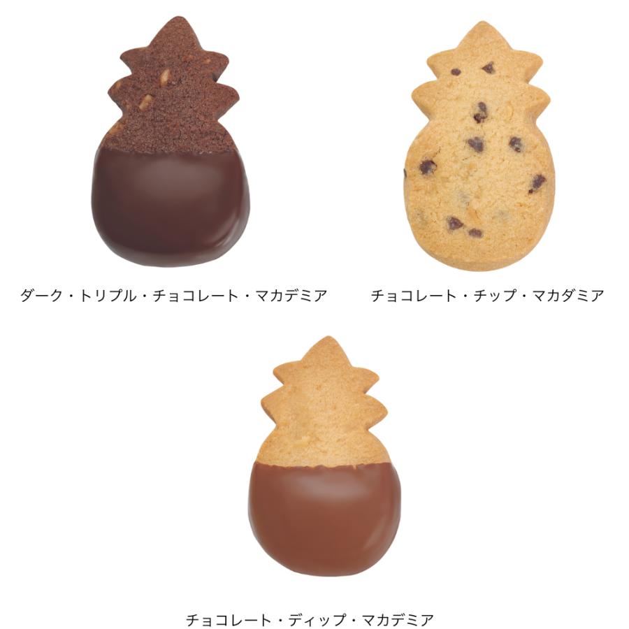 Honolulu Cookie Company チョコレートチップ 公式】シグネチャー・ギフトボックス・チョコレート