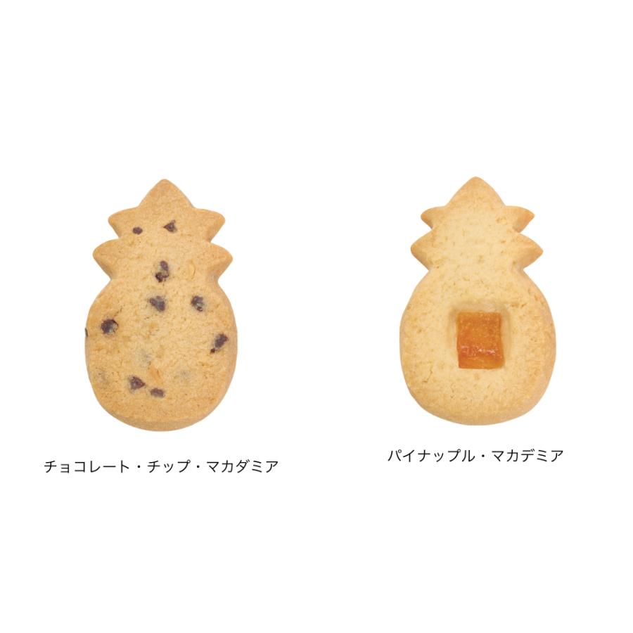 【公式】シグネチャー・ギフトボックス・ハワイアン・トロピカル・コレクション (L)